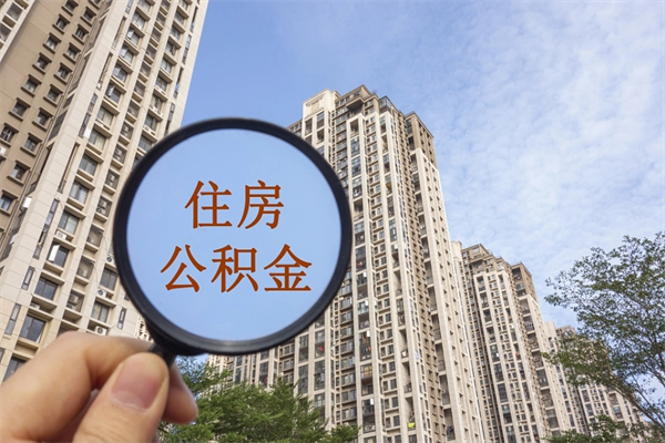 禹州怎么把公积金全部取出来（如何将公积金全部取出）